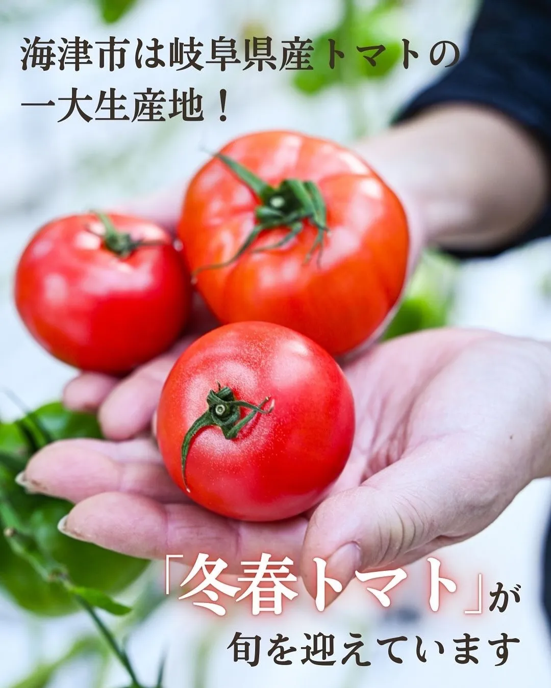 🍅 新作スイーツ登場！ 🍅