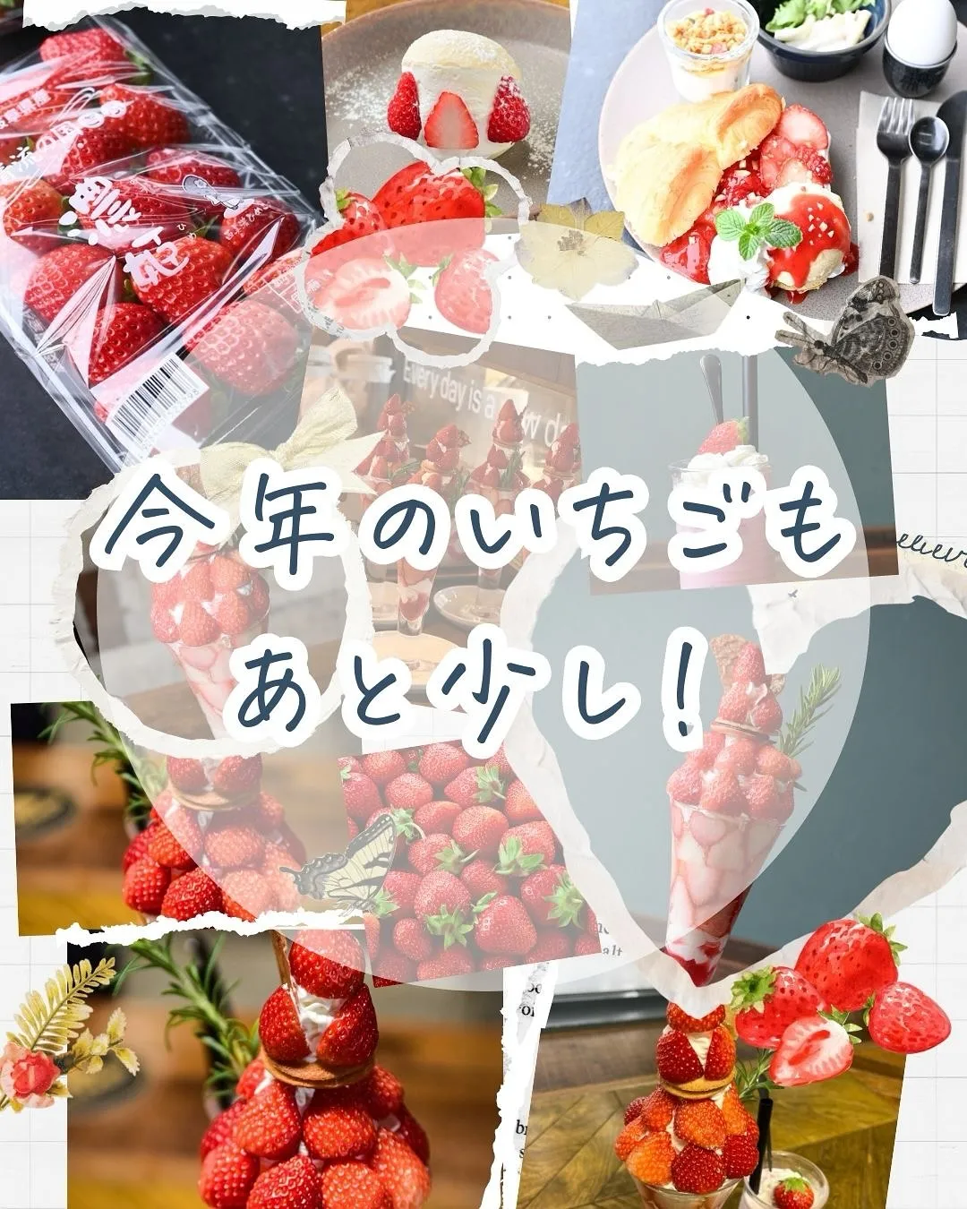 【🍓肇さんの濃姫シリーズ終了間近🍓】