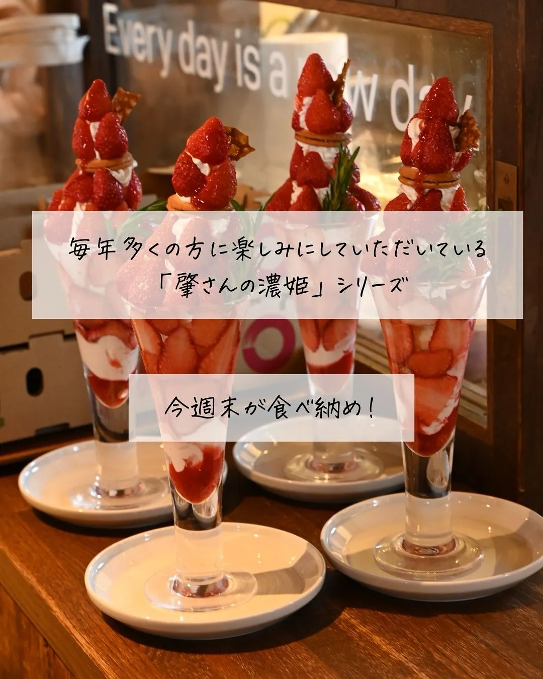 【🍓肇さんの濃姫シリーズ終了間近🍓】