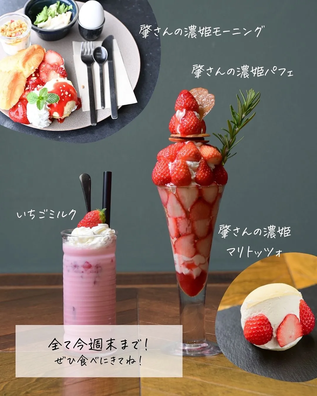 【🍓肇さんの濃姫シリーズ終了間近🍓】