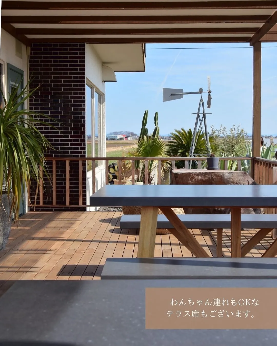 \どんなシーンにもフィット✨/