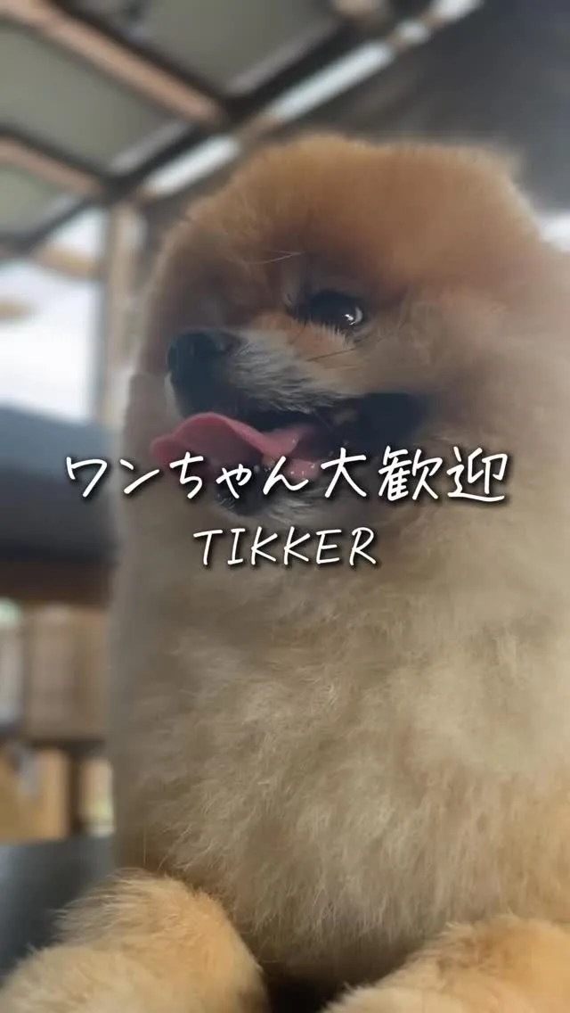 【今春、TIKKERのドッグエリアがパワーアップ✨】