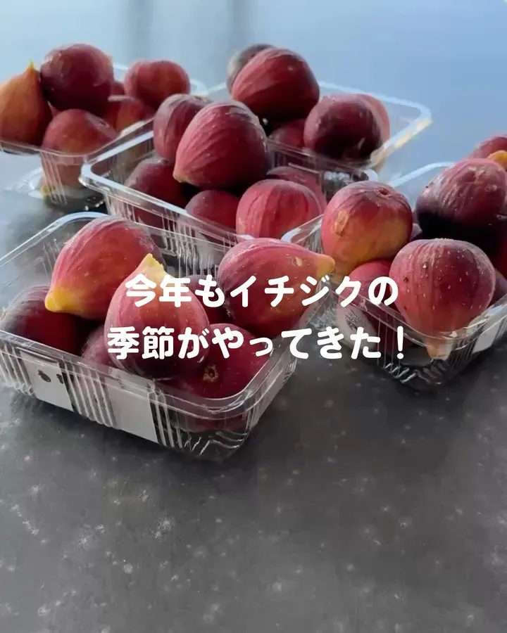【イチジクの季節です】