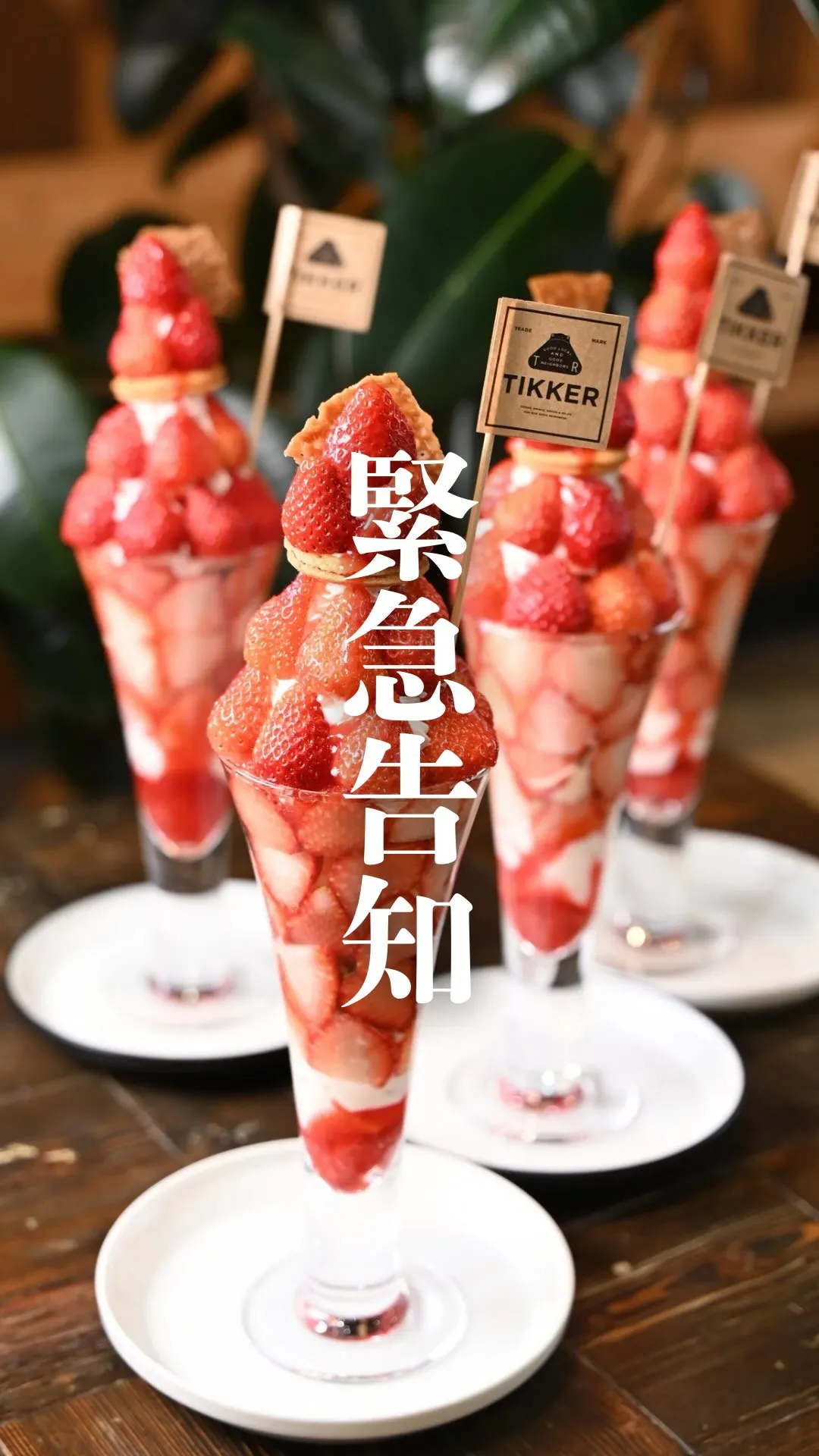 【TIKKERが緊急でお店を開けることになりました😳！】